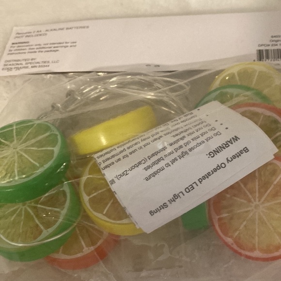 Target BP Citrus String Lights - Picture 5 of 5